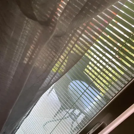 Amfora ביבינייה